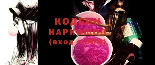 шишки Белокуриха