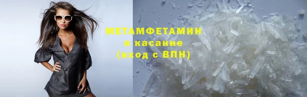 шишки Белокуриха