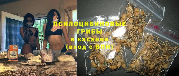 шишки Белокуриха