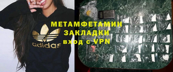 шишки Белокуриха