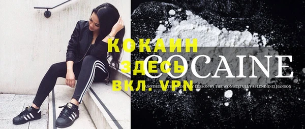 шишки Белокуриха