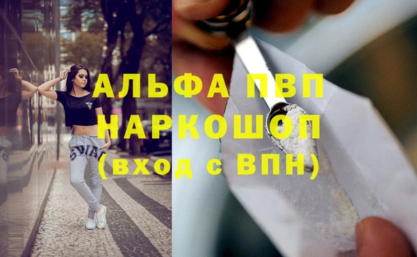 шишки Белокуриха