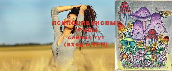 шишки Белокуриха