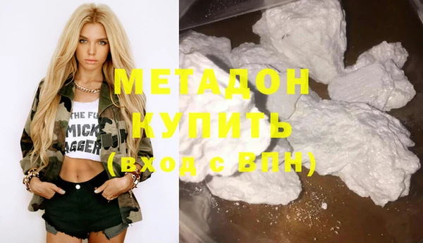 шишки Белокуриха