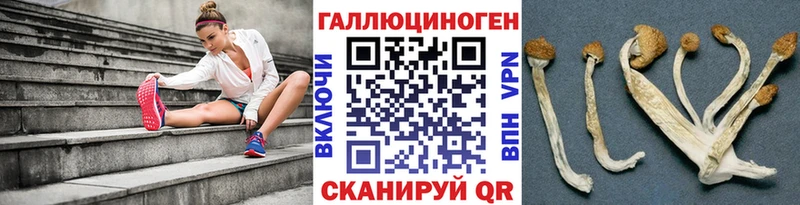 OMG сайт  купить закладку  Яранск  Псилоцибиновые грибы прущие грибы 